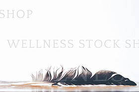 Product + Model Photography  by Sash Photography http://sashphot