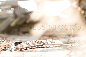 Product + Model Photography  by Sash Photography http://sashphot
