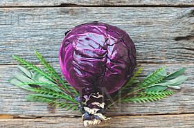 Stock Photos by Wellness Stock Shop