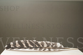 Product + Model Photography  by Sash Photography http://sashphot