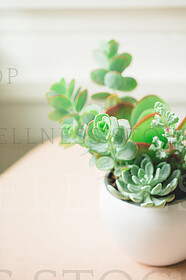 Stock Photos by Wellness Stock Shop