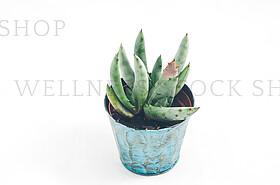 Stock Photography by Wellness Stock Shop http://wellnessstocksho