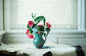Stock Photos by Wellness Stock Shop