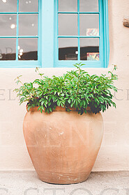 Stock Photos by Wellness Stock Shop