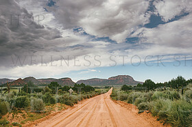 Wellness Stock Shop http://wellnessstockshop.com