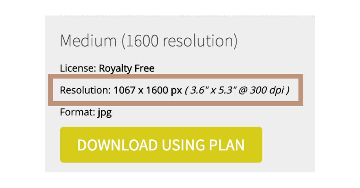 WSS Download Size Options (2)