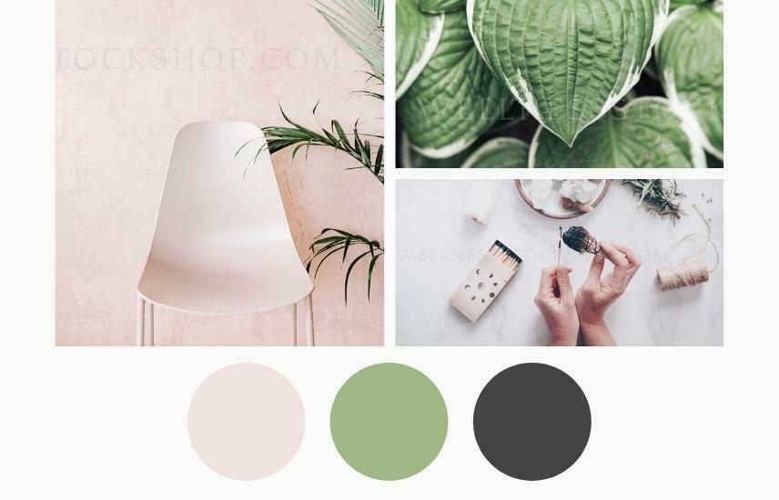 Choose your perfect branding color palette