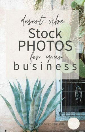 Desert Vibe Stock Photos