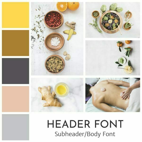 Chinese medicine ayurveda health coach brand board kit by Wellness Stock Shop