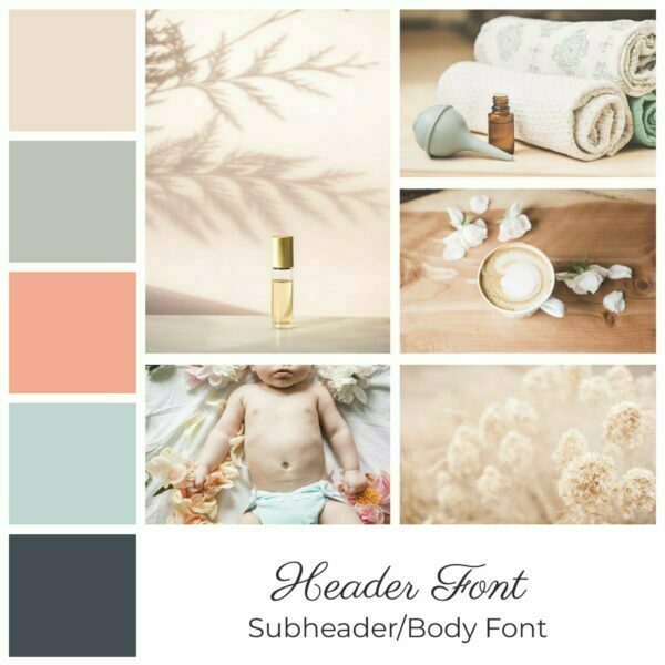 Doula fertility coach women's health and wellness brand board kit by Wellness Stock Shop