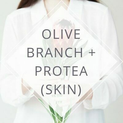 Olive Branch + Protea