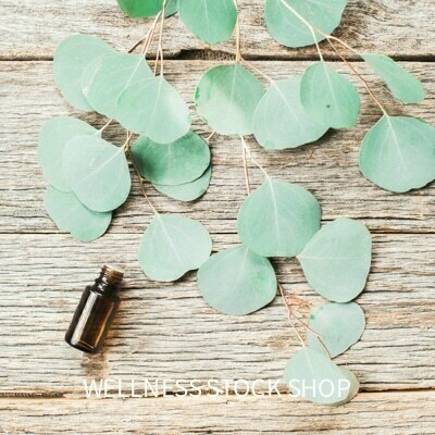 Eucalyptus Essential Oil Stock Photo